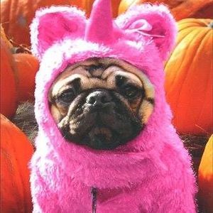 Meet your Posher, James